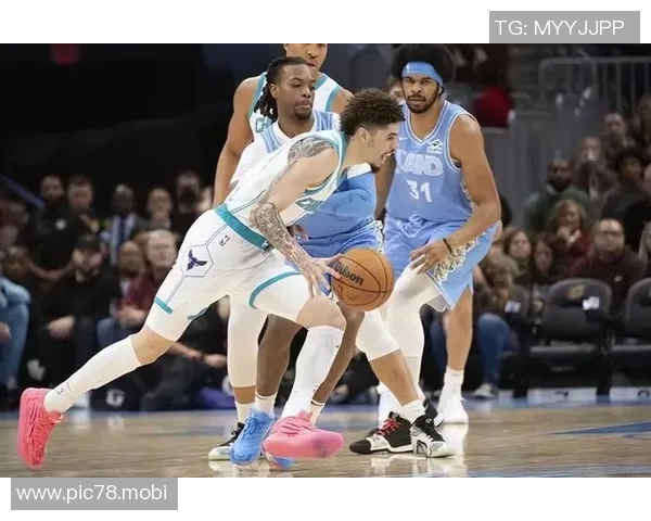 塞克斯顿的2大转变!从骑士核心到黄蜂大腿,‘三球’或成替补 塞克斯顿的2大转变!从骑士核心到黄蜂大腿,‘三球’或成替补